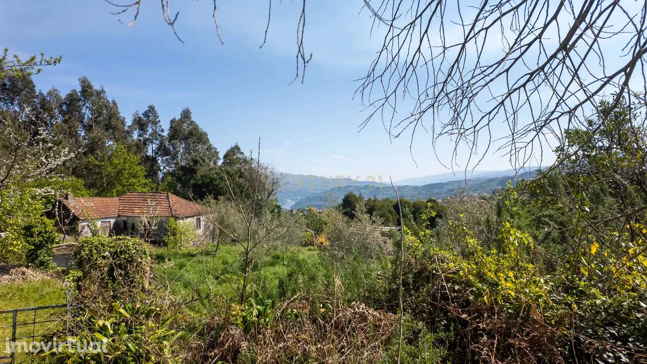 Moradia T2 Cinfães - Grande imagem: 3/41