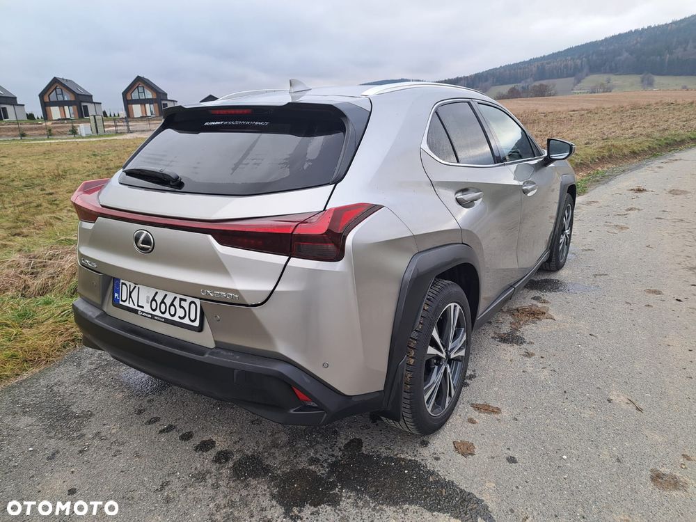 Lexus UX 200 GPF Business Edition 2WD - 4