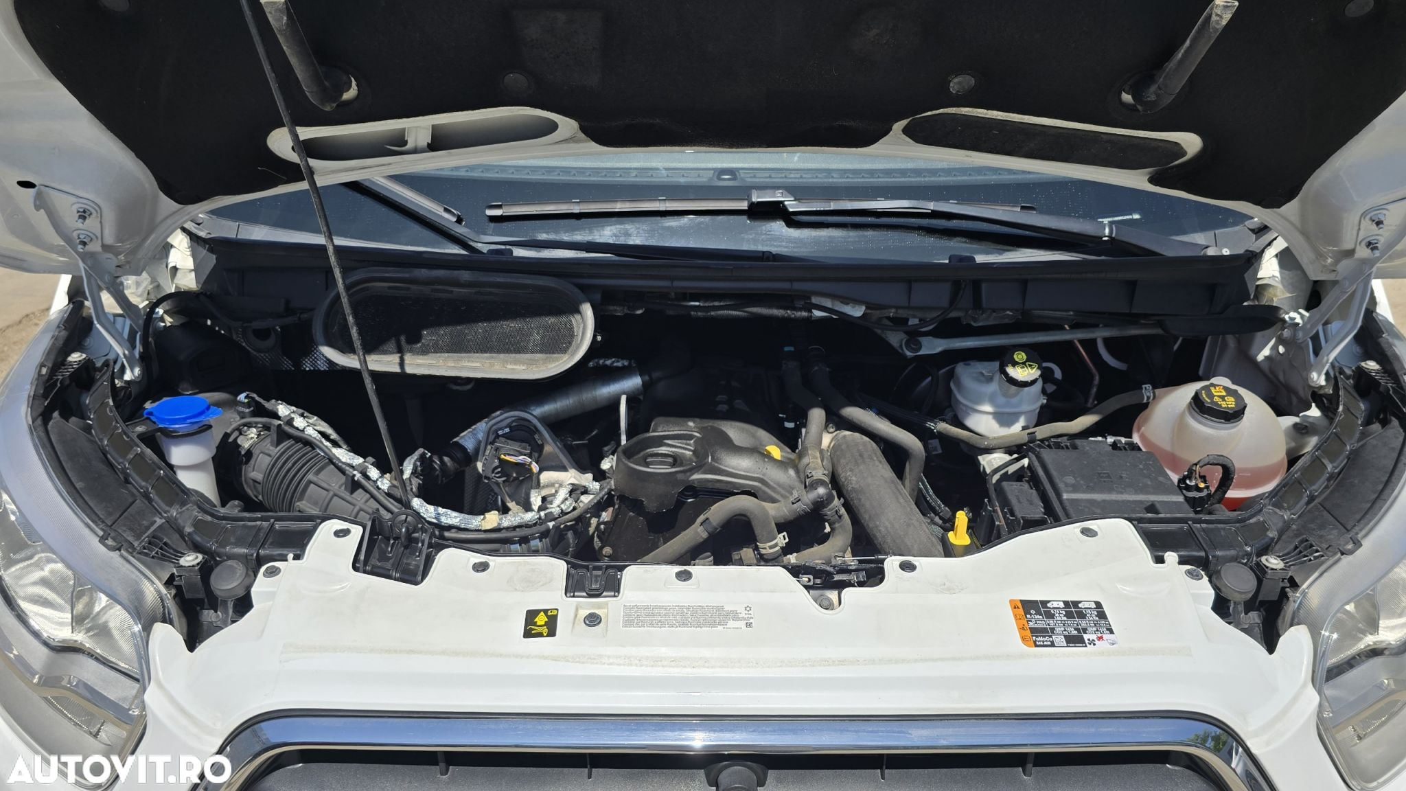 Ford Transit - 24
