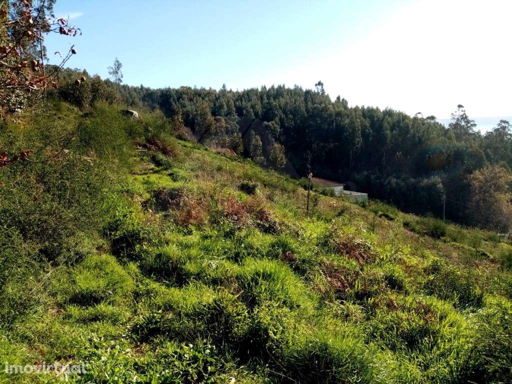 Terreno em Refóios do Lima. - Grande imagem: 4/6