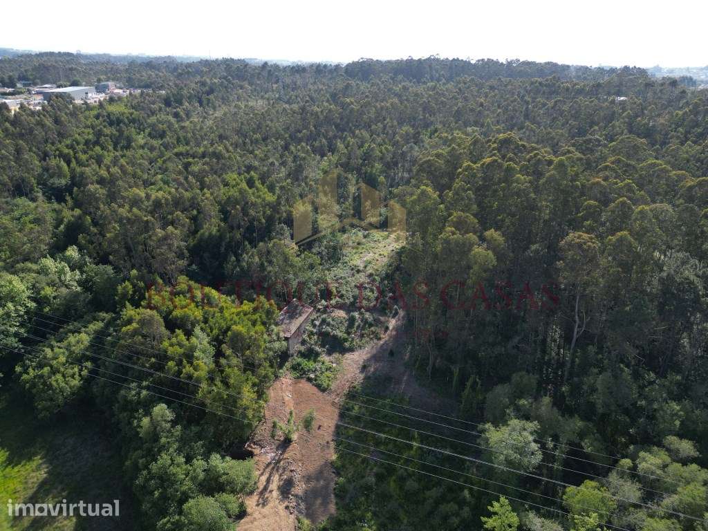 Terreno em Serezedo - Grande imagem: 5/11