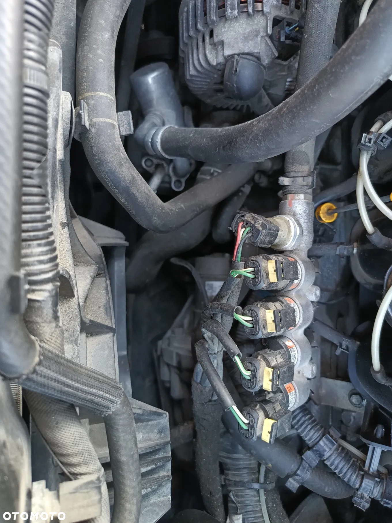Nissan Qashqai+2 - 25