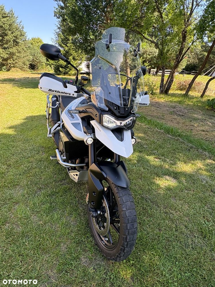 Triumph Tiger - 1
