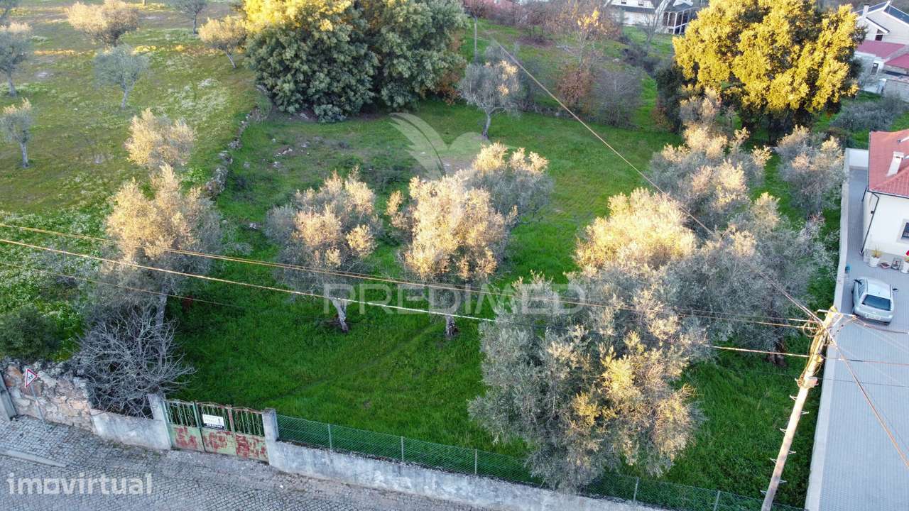 Terreno com Viabilidade Construtiva,  na Ratoeira Celorico da Beira - Grande imagem: 3/9