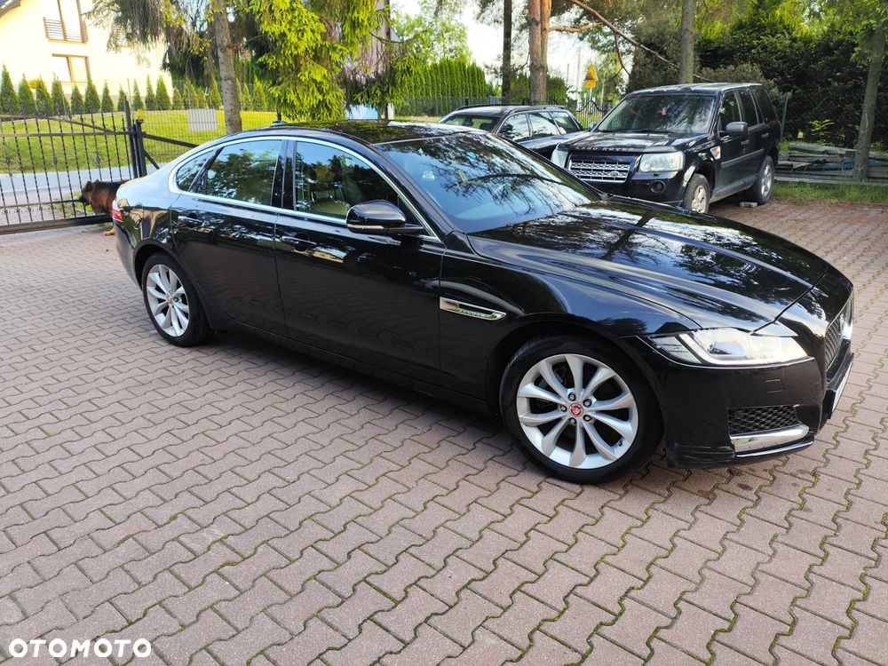 Jaguar XF 2.0 i4D Prestige - 2