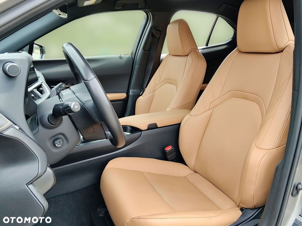 Lexus UX 250h GPF F Sport Design 2WD - 14