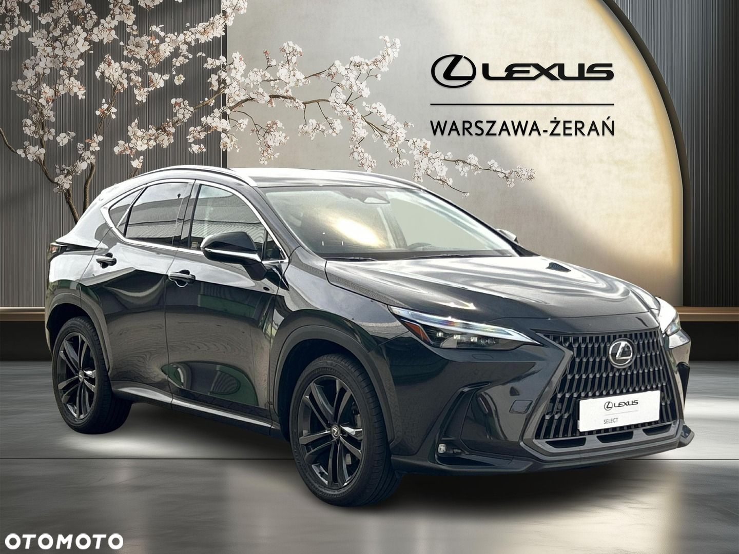 Lexus NX - 9