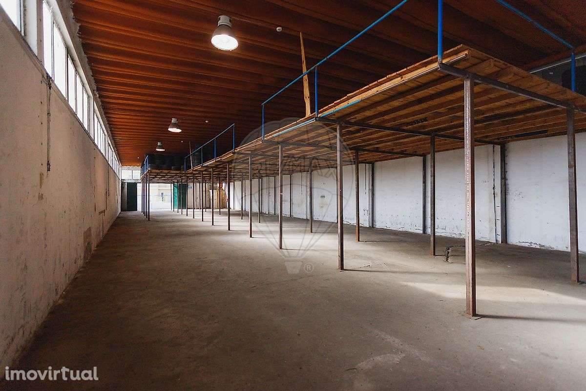 Armazém  para arrendamento - Grande imagem: 3/14