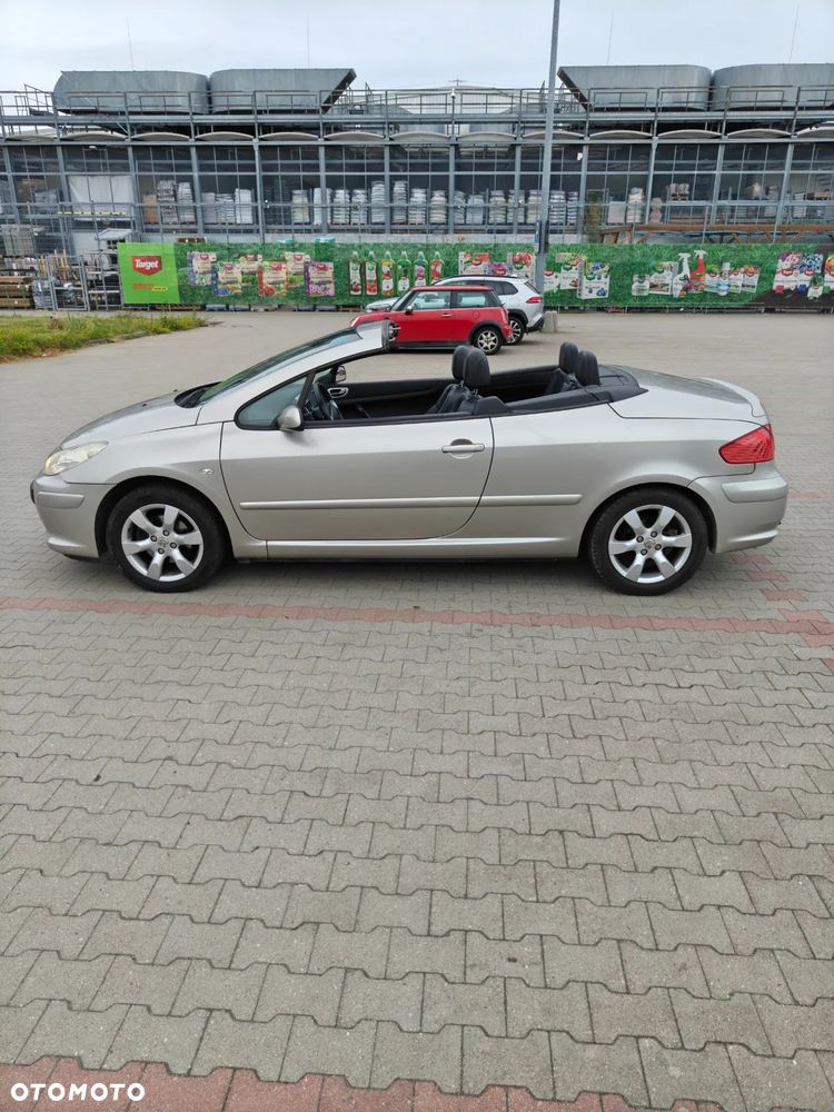Peugeot 307 CC 2.0 Intense - 22