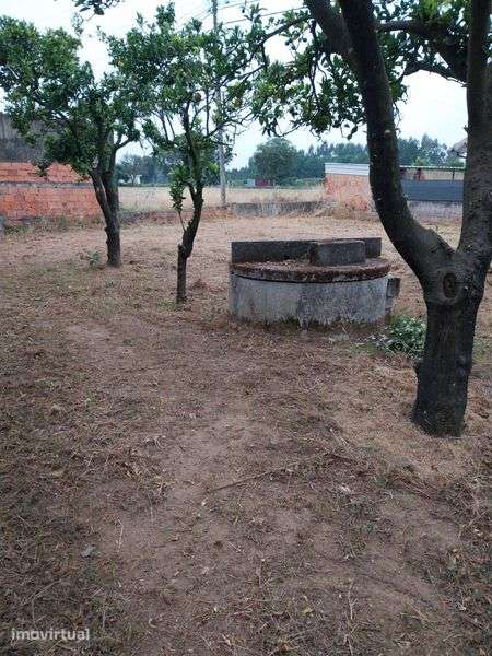 Terreno Troviscal 356,65 m2 - Oliveira do Bairro - Grande imagem: 2/6