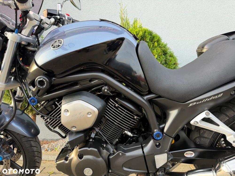 Yamaha Bulldog - 35