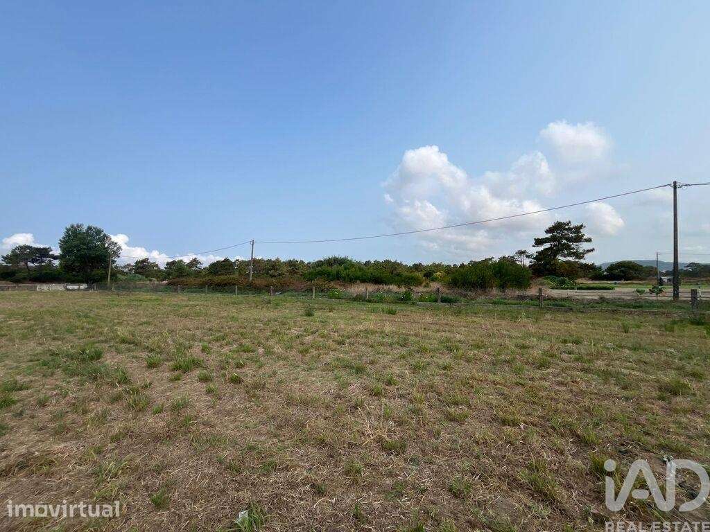 Terreno em Belinho e Mar de 4680,00 m2 - Grande imagem: 4/14