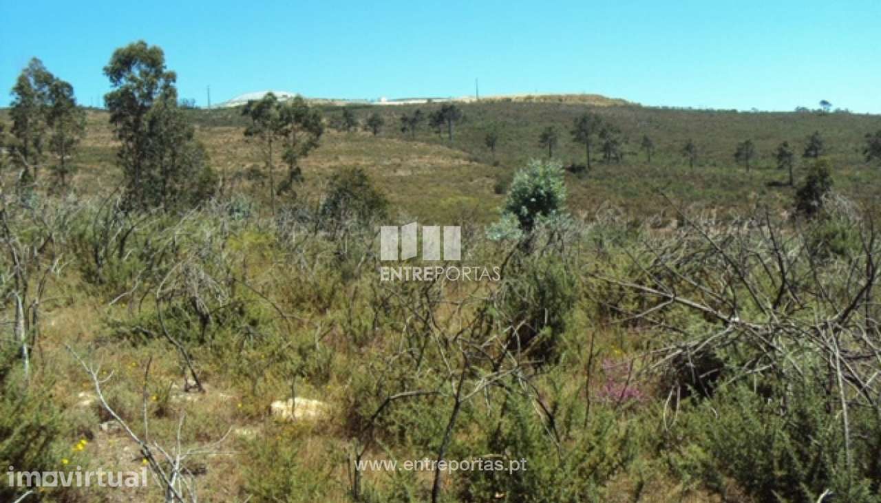 Venda Terreno, Lustosa, Lousada - Grande imagem: 2/14