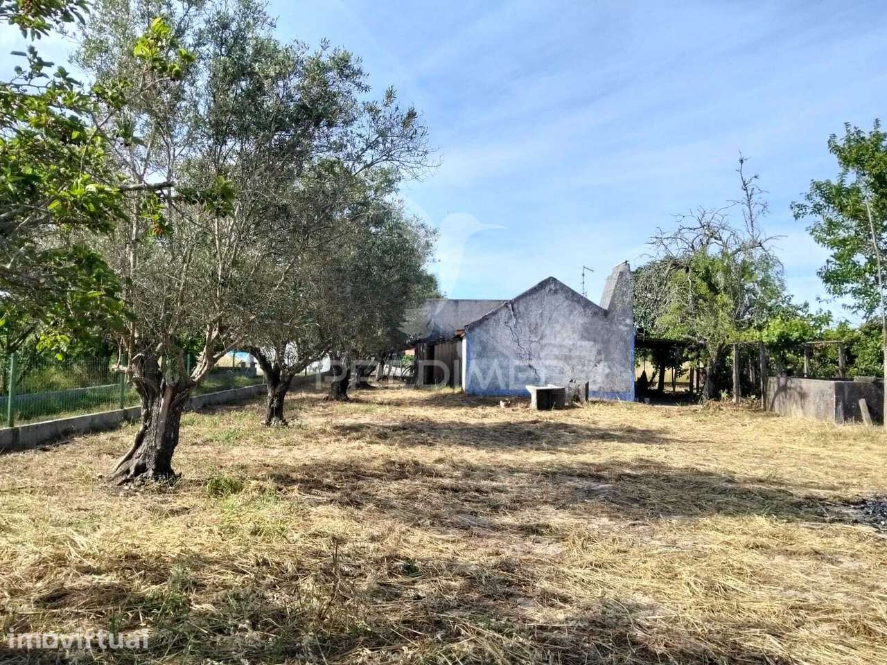 Casa Típica para Recuperar - Grândola - Grande imagem: 2/38