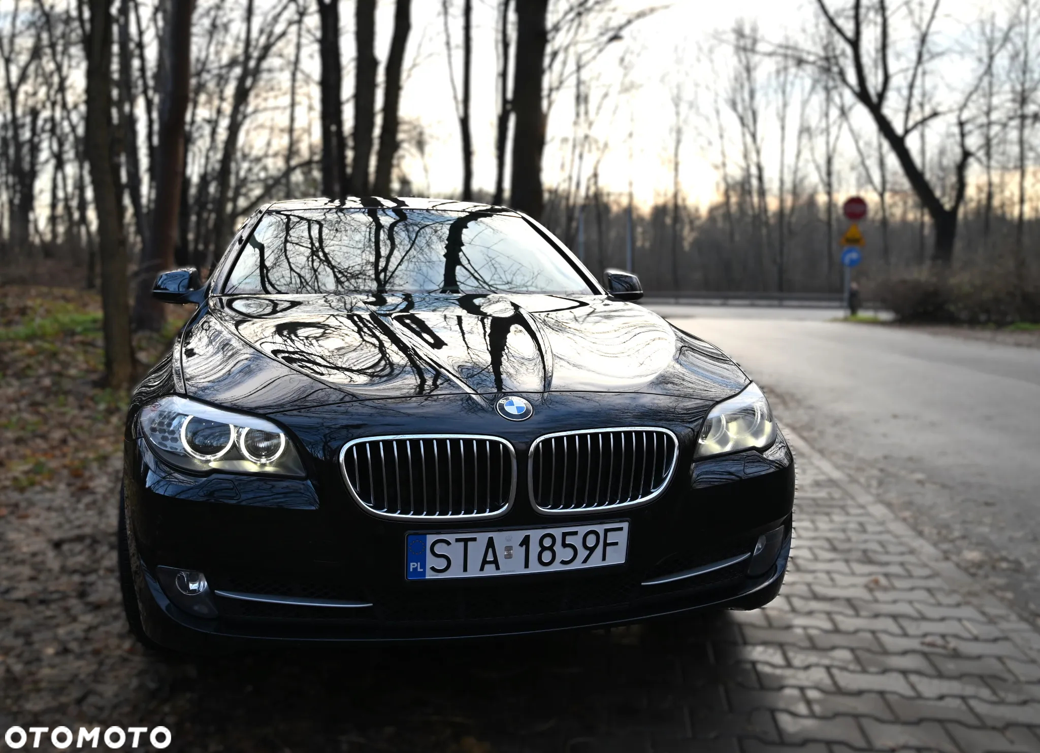 BMW Seria 5 - 6