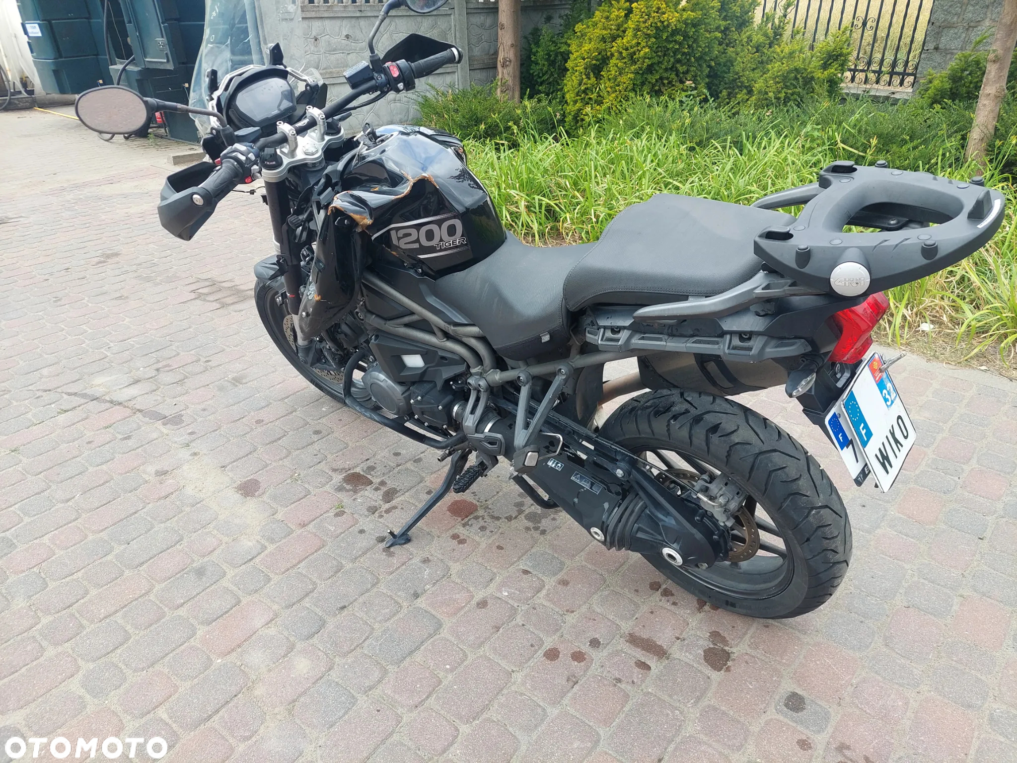 Triumph Tiger - 3
