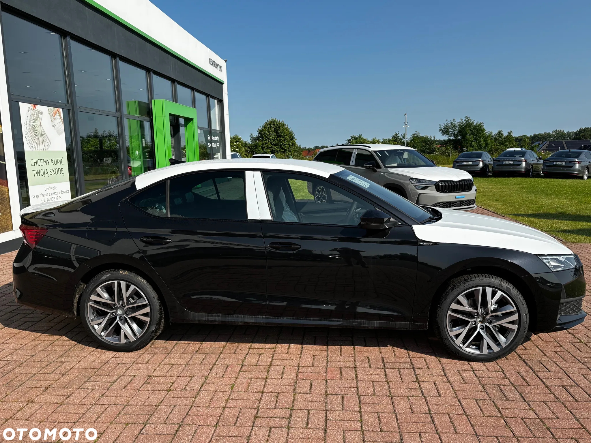 Skoda Octavia - 6