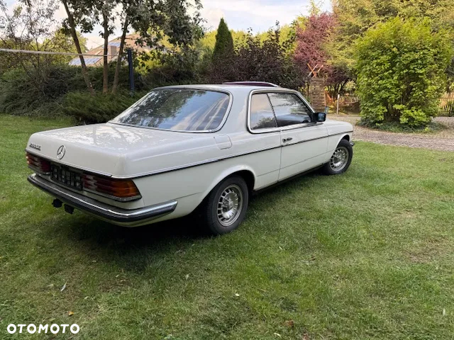 Mercedes-Benz W123 - 7