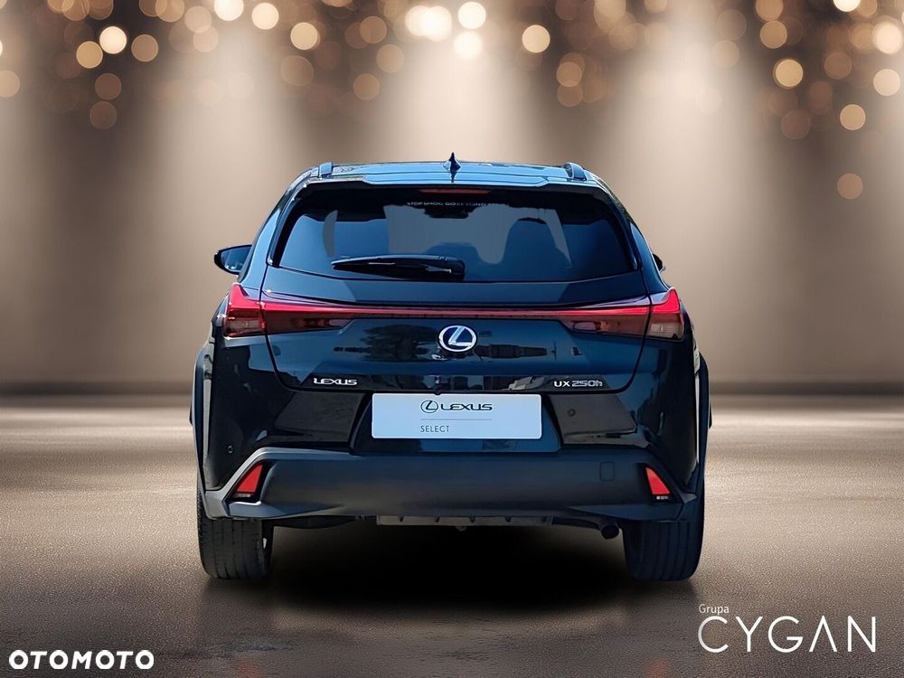 Lexus UX 250h GPF F Impression 2WD - 5