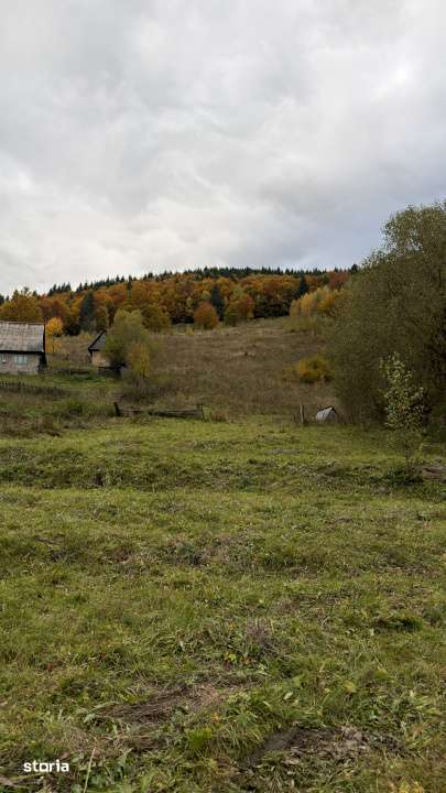 Parcele de teren de vanzare, 1000mp, Valea Ierii - Imagine principală: 3/4