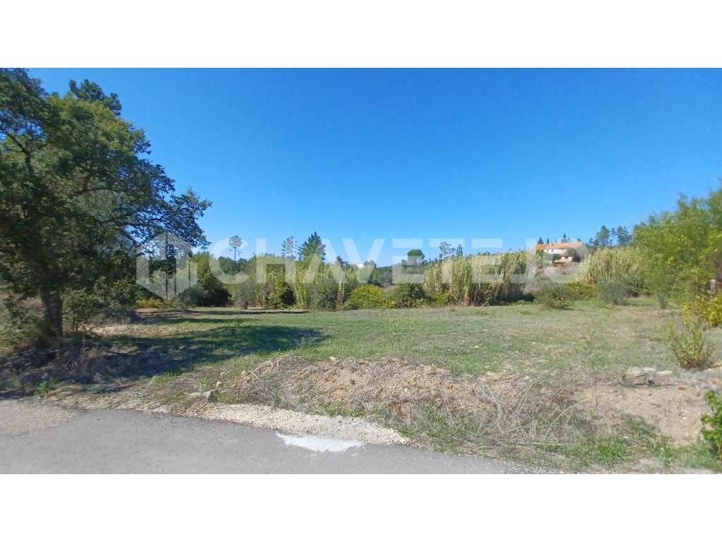 Terreno com possibilidade de construção perto de S. Pedro de Tomar. - Grande imagem: 3/8