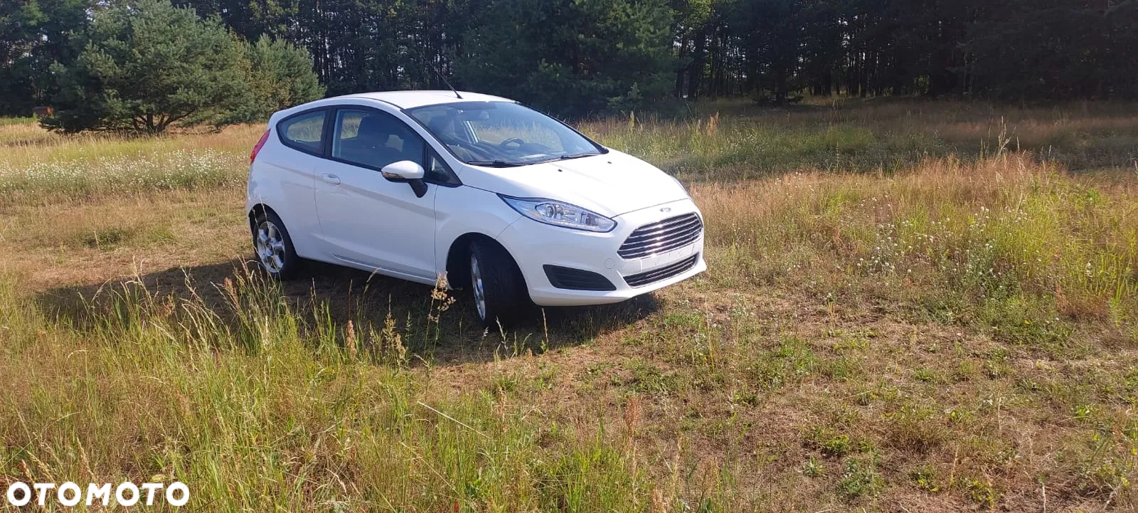 Ford Fiesta 1.25 Ambiente - 2