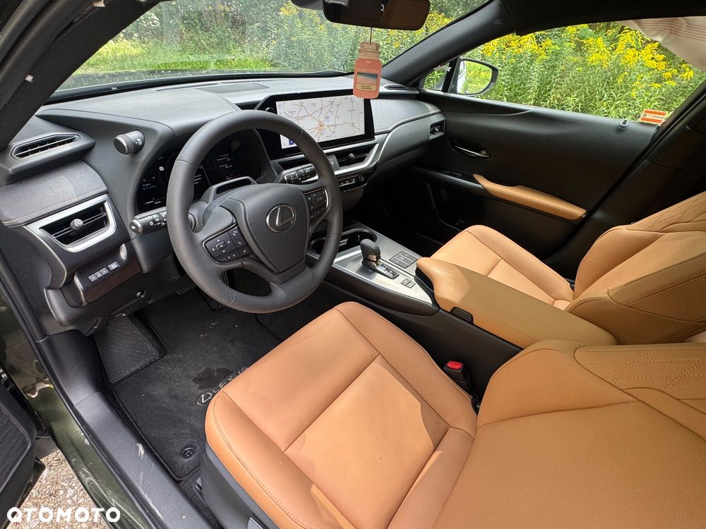 Lexus UX 300h F Sport AWD - 16