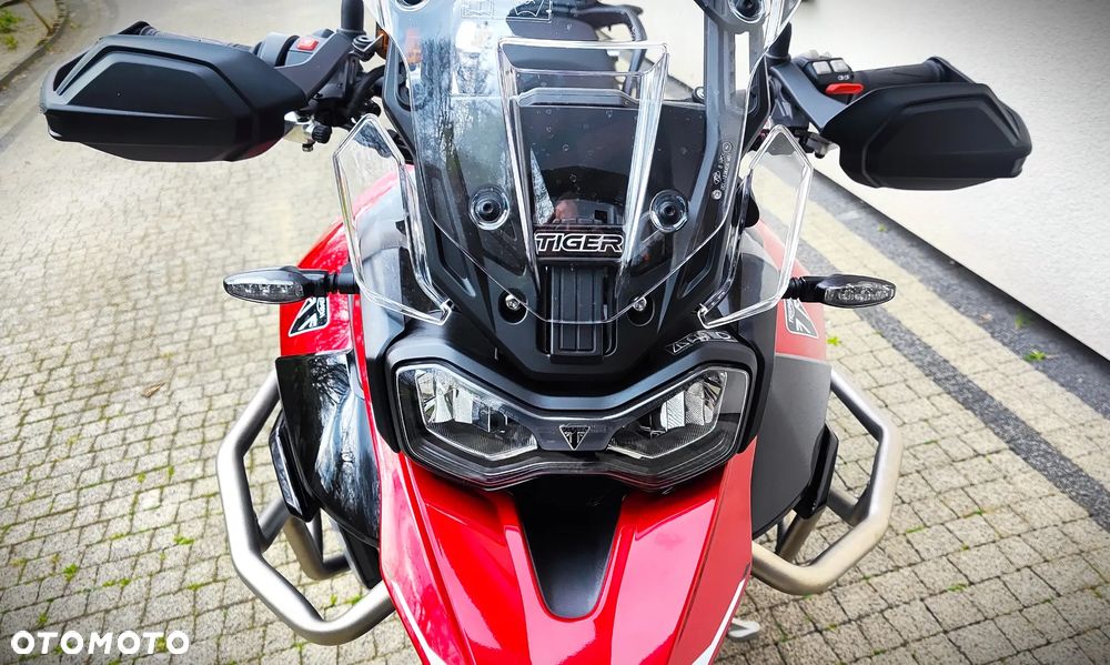 Triumph Tiger - 17