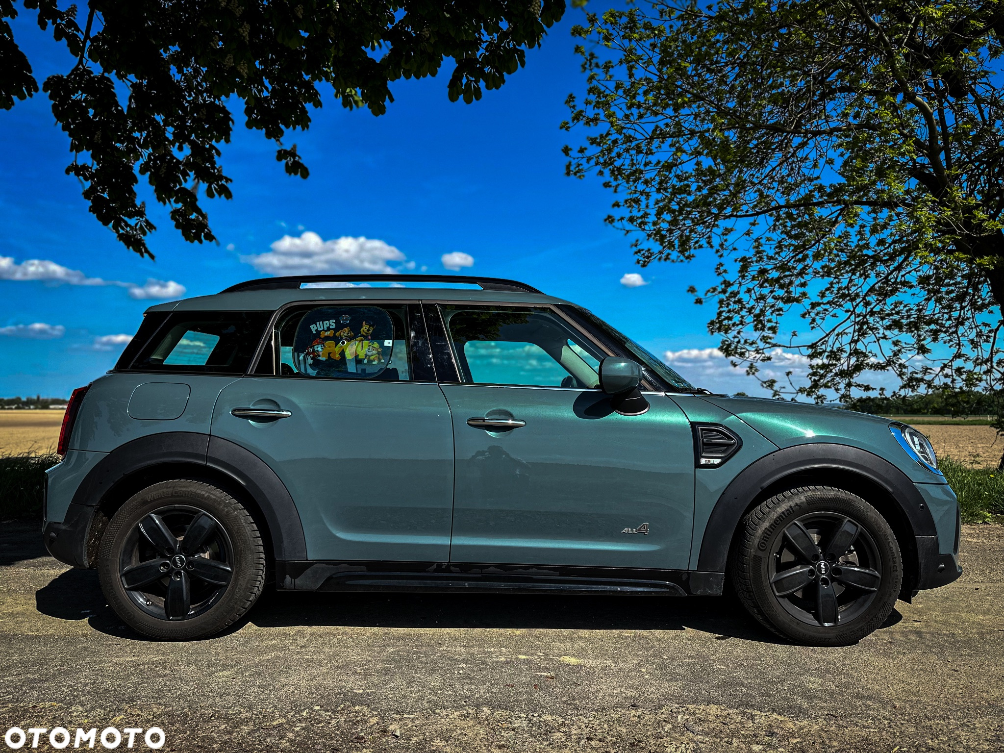 MINI Countryman Cooper ALL4 - 3