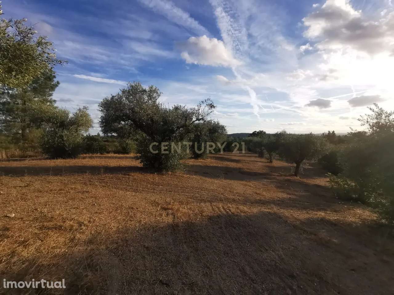 Terreno rústico com construção e poço – Freixial do Campo - Grande imagem: 2/14