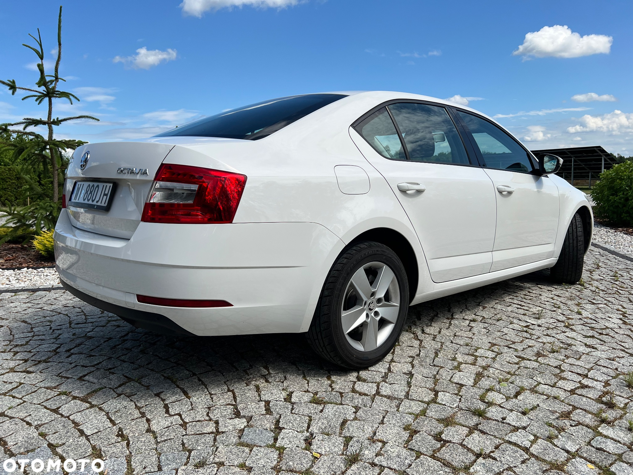 Skoda Octavia - 3
