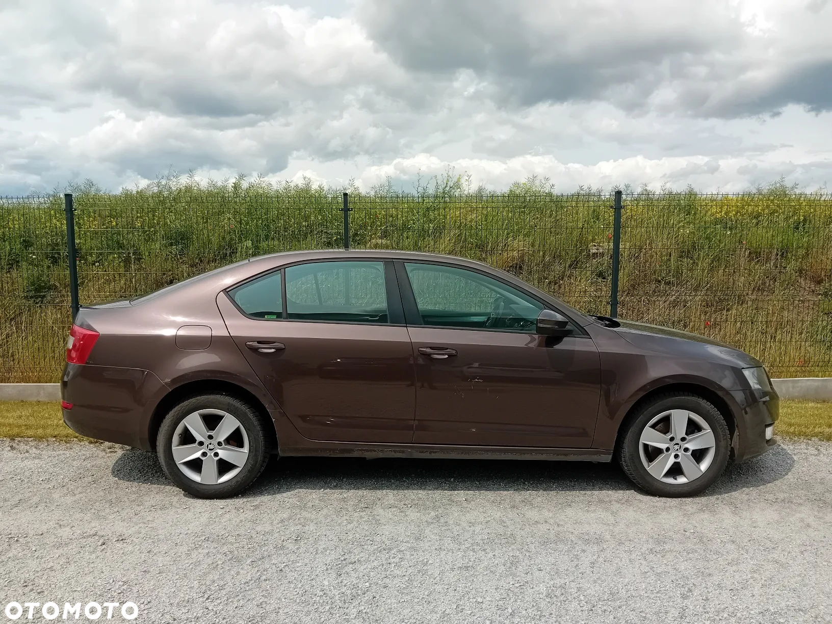 Skoda Octavia 2.0 TDI Ambition - 2