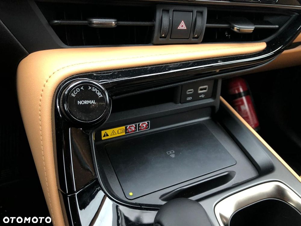 Lexus NX - 28