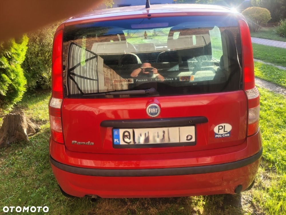 Fiat Panda - 1