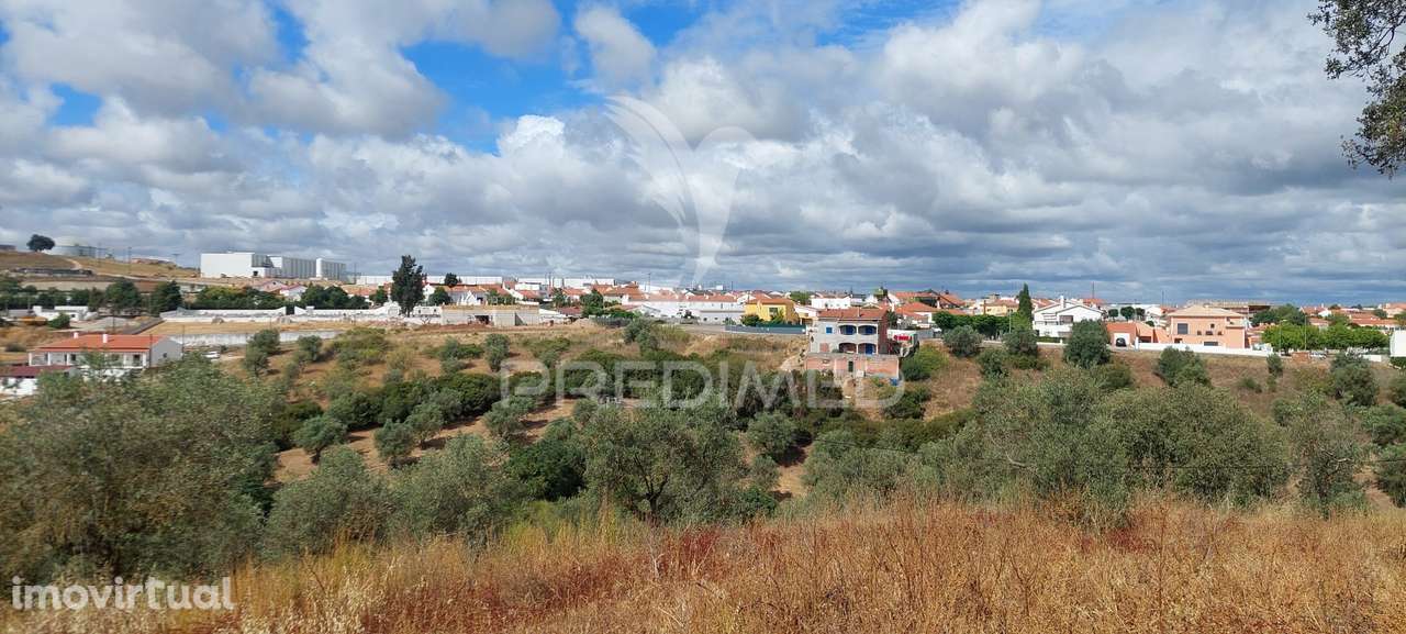 Terreno Rústico - Grande imagem: 3/3