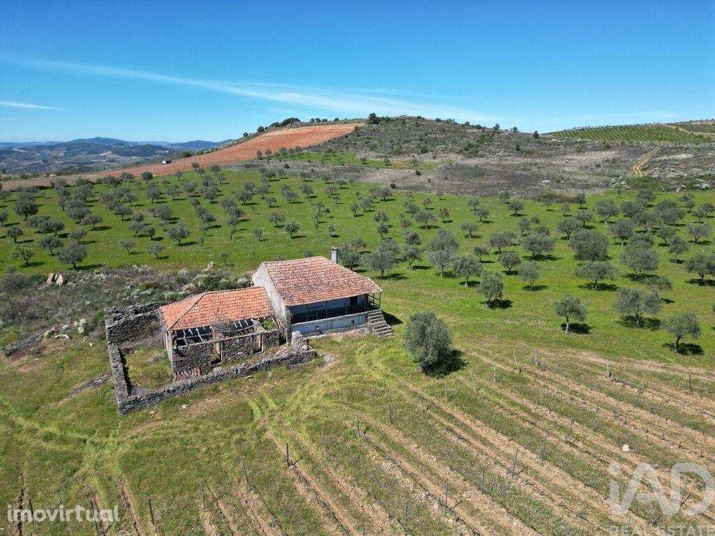 Quinta em Vila Flor e Nabo de 216 m2 - Grande imagem: 4/26