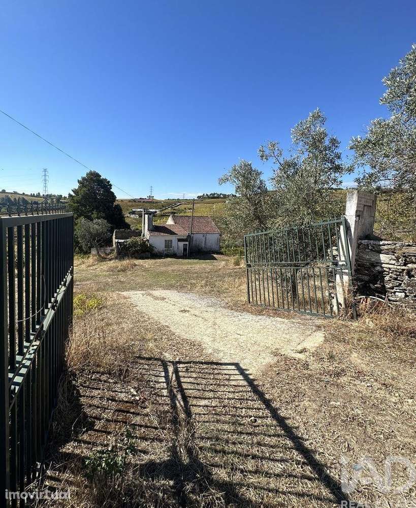 Quinta T3 em Poiares e Canelas - Grande imagem: 4/39