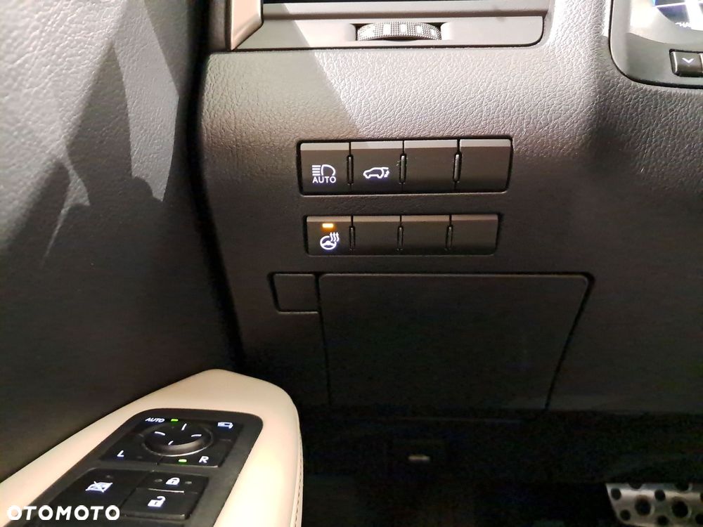 Lexus RX 450h F-Impression - 17