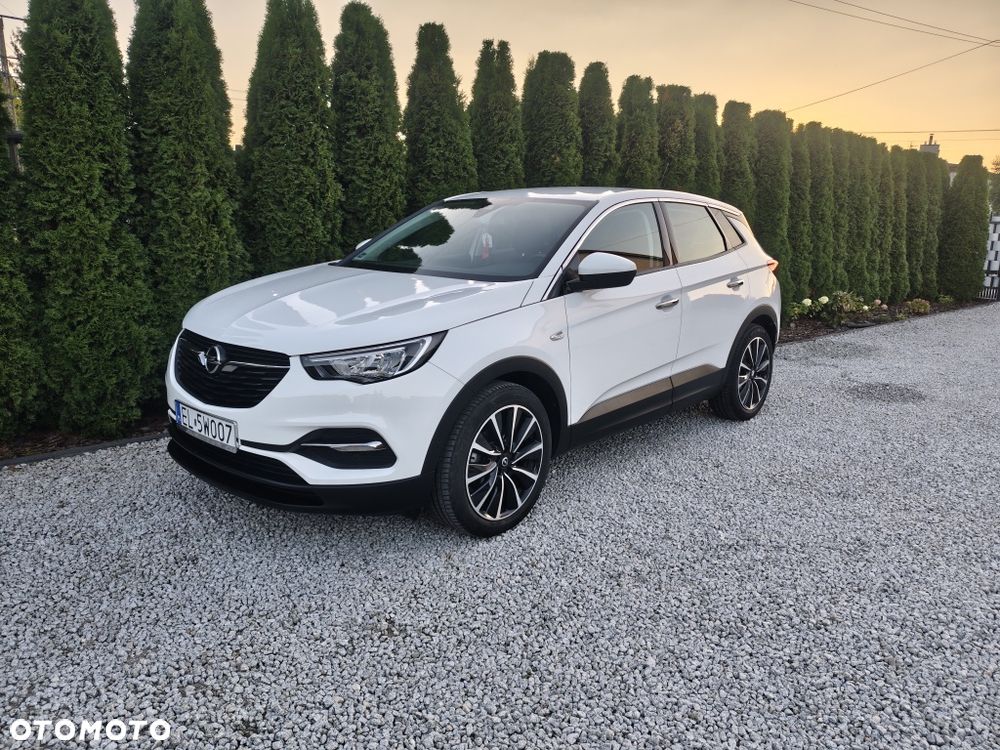 Opel Grandland X 2020 photo 3