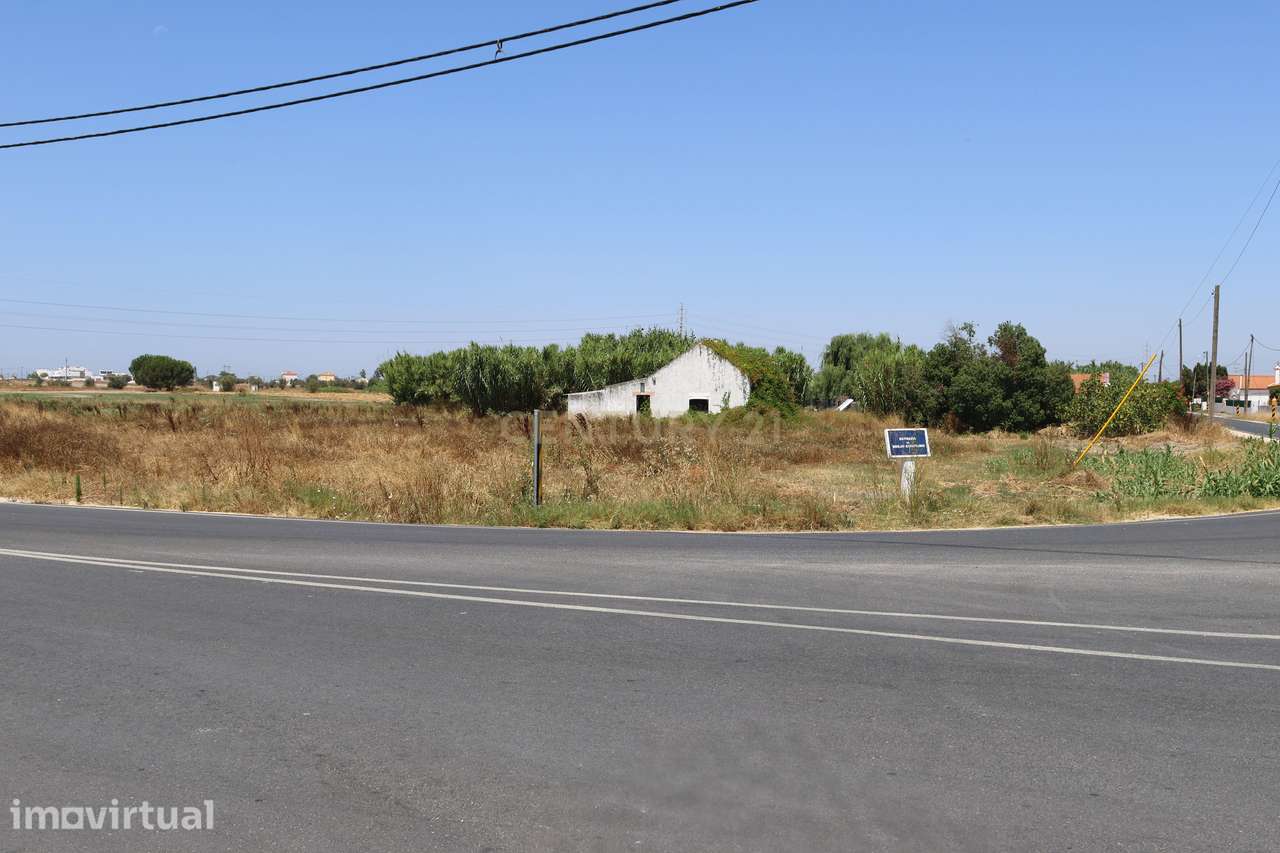 Terreno com casa para recuperação - Grande imagem: 3/27