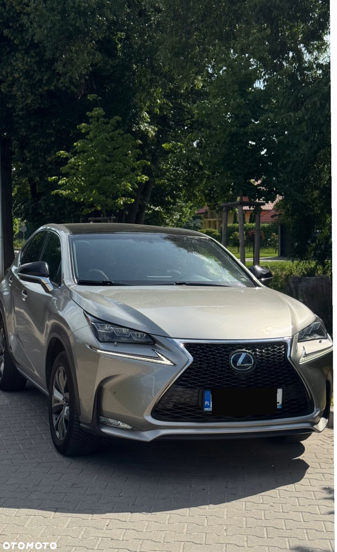 Lexus NX 300h F Sport AWD - 1