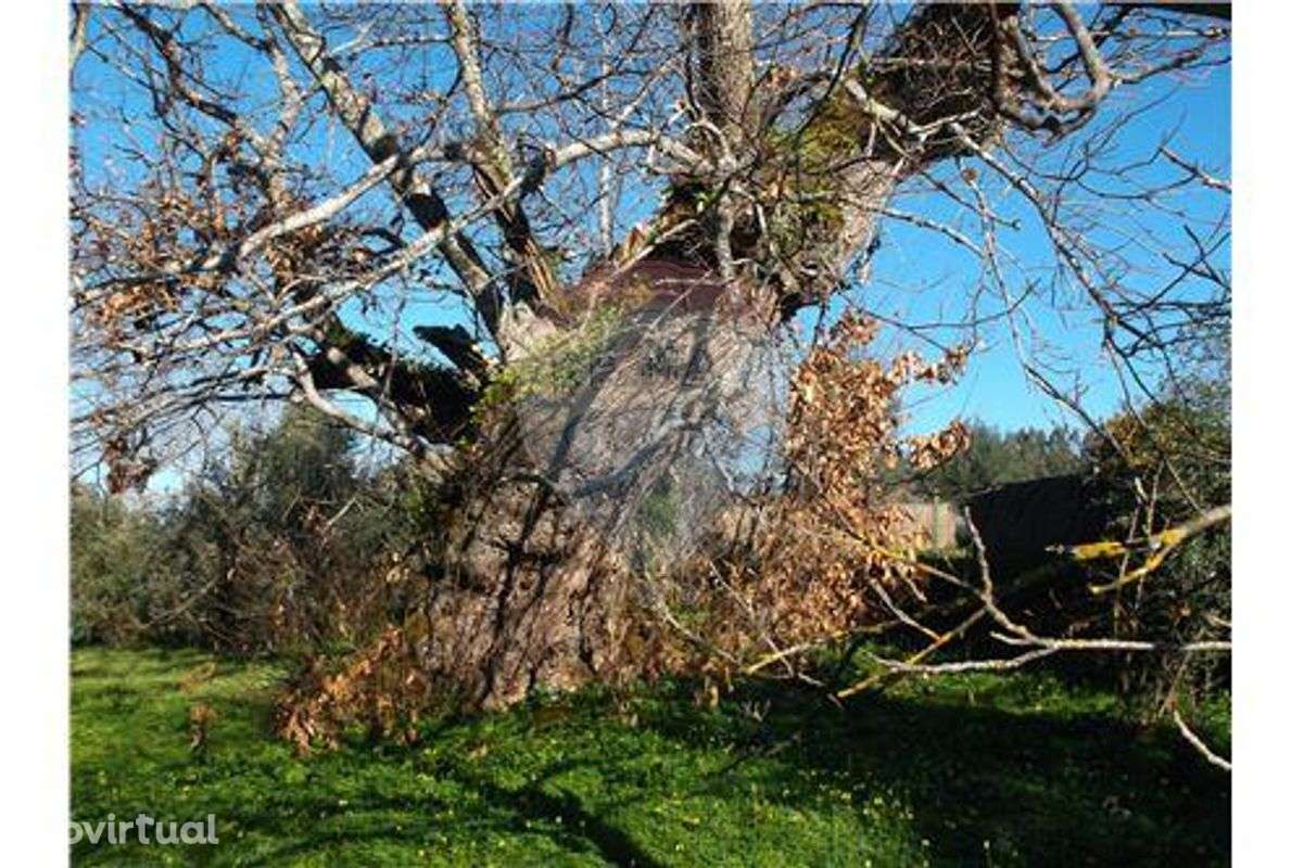 Moradia para recuperação - Grande imagem: 3/10