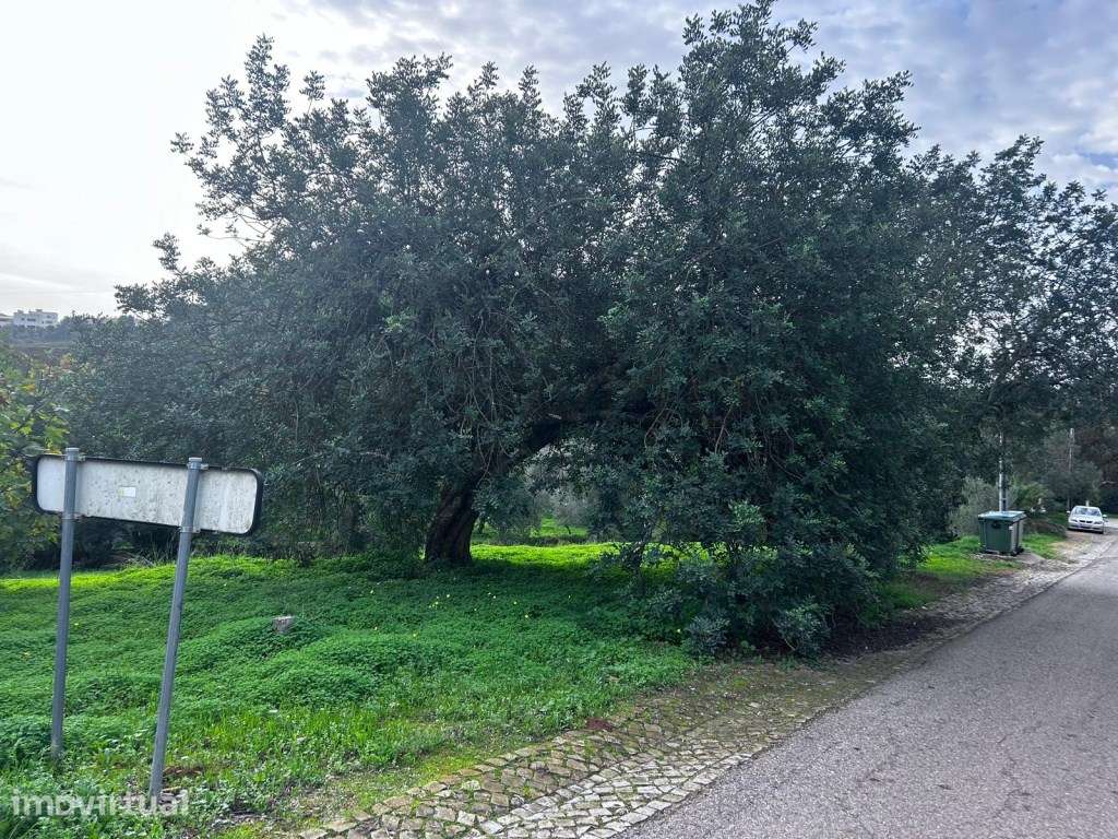 Terreno em Salir com viabilidade de construção - Grande imagem: 3/9