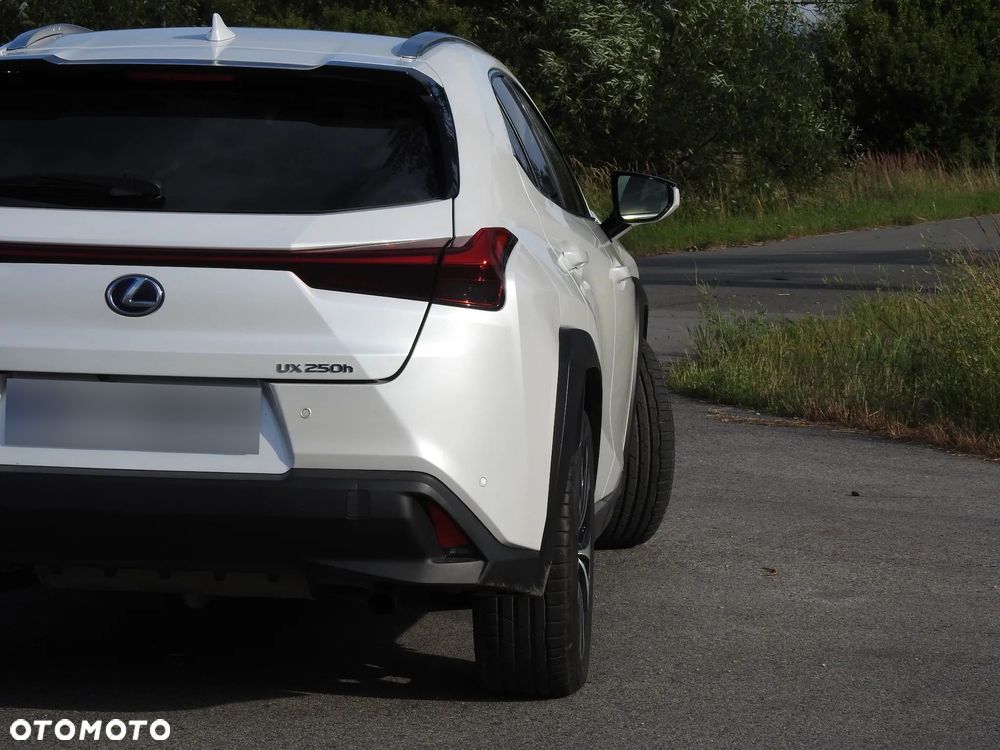 Lexus UX 250h Prestige 2WD - 10