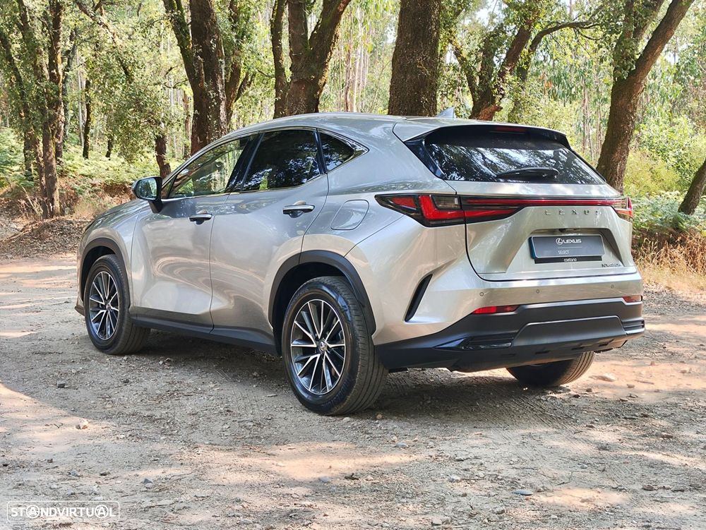 Lexus NX 450h+ Executive - 8