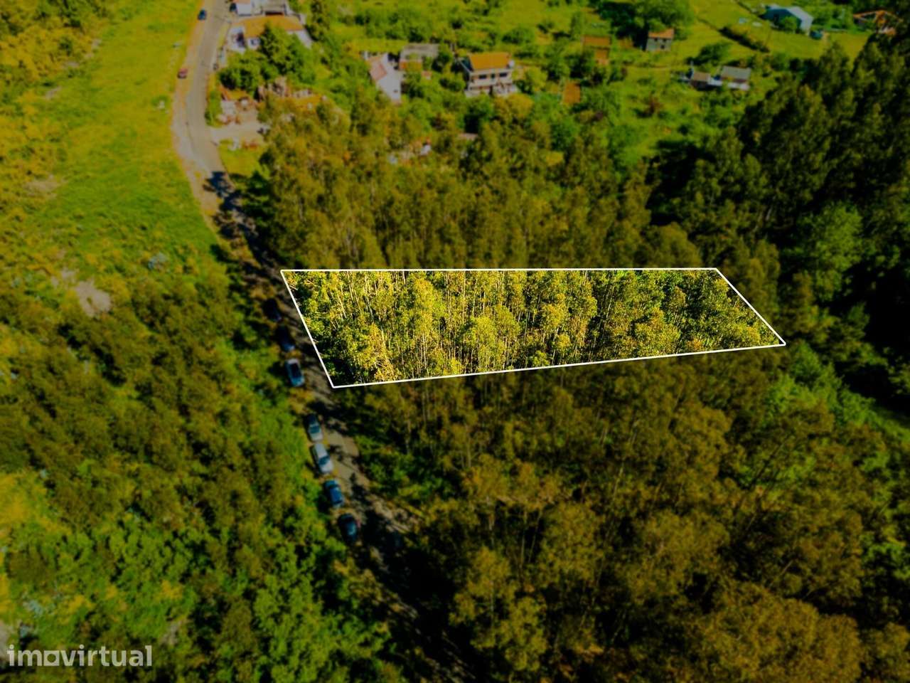 Terreno com 1510m2 - Camacha - Grande imagem: 4/14