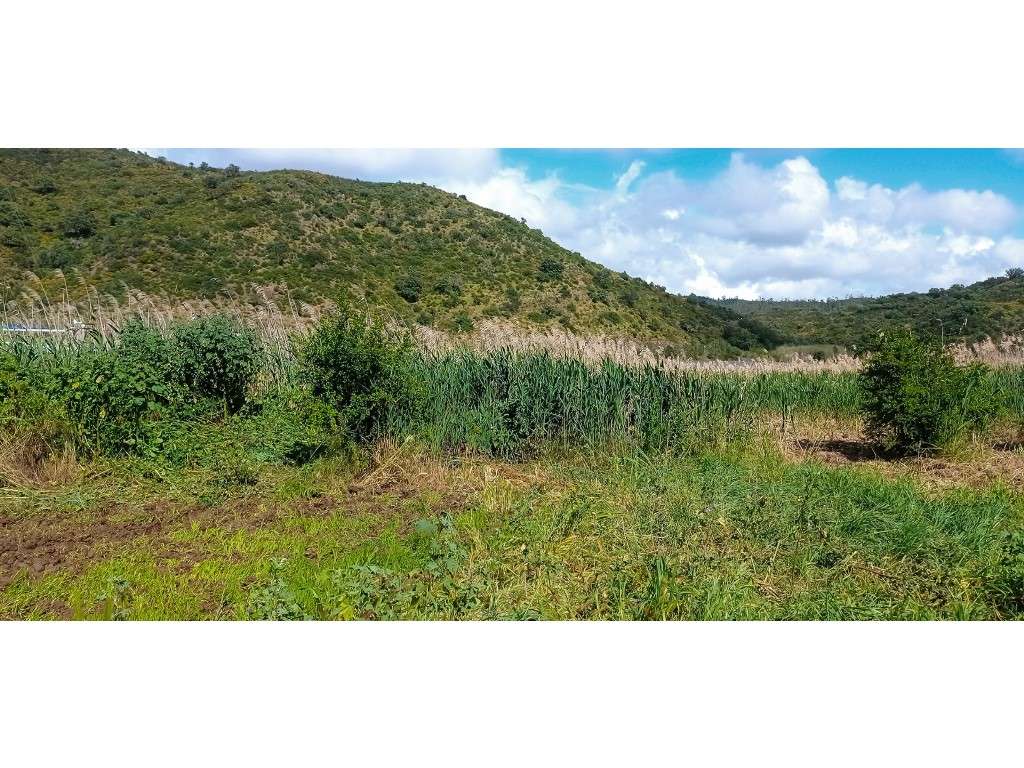 Terreno Rústico , Faro, Alcoutim - Grande imagem: 5/31