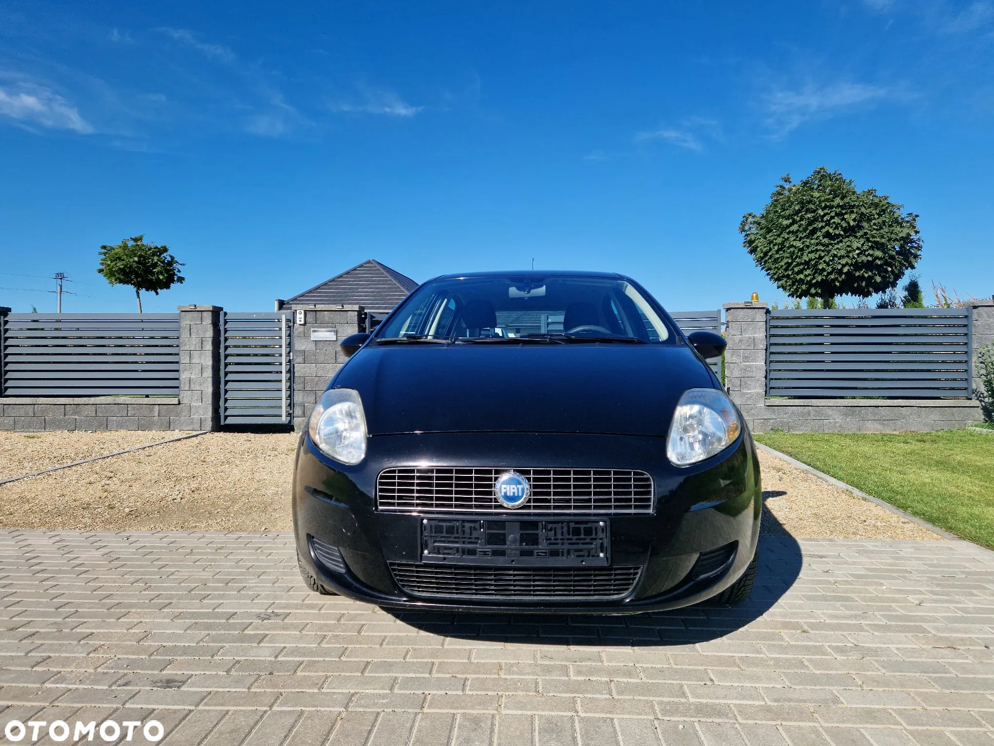 Fiat Punto - 3