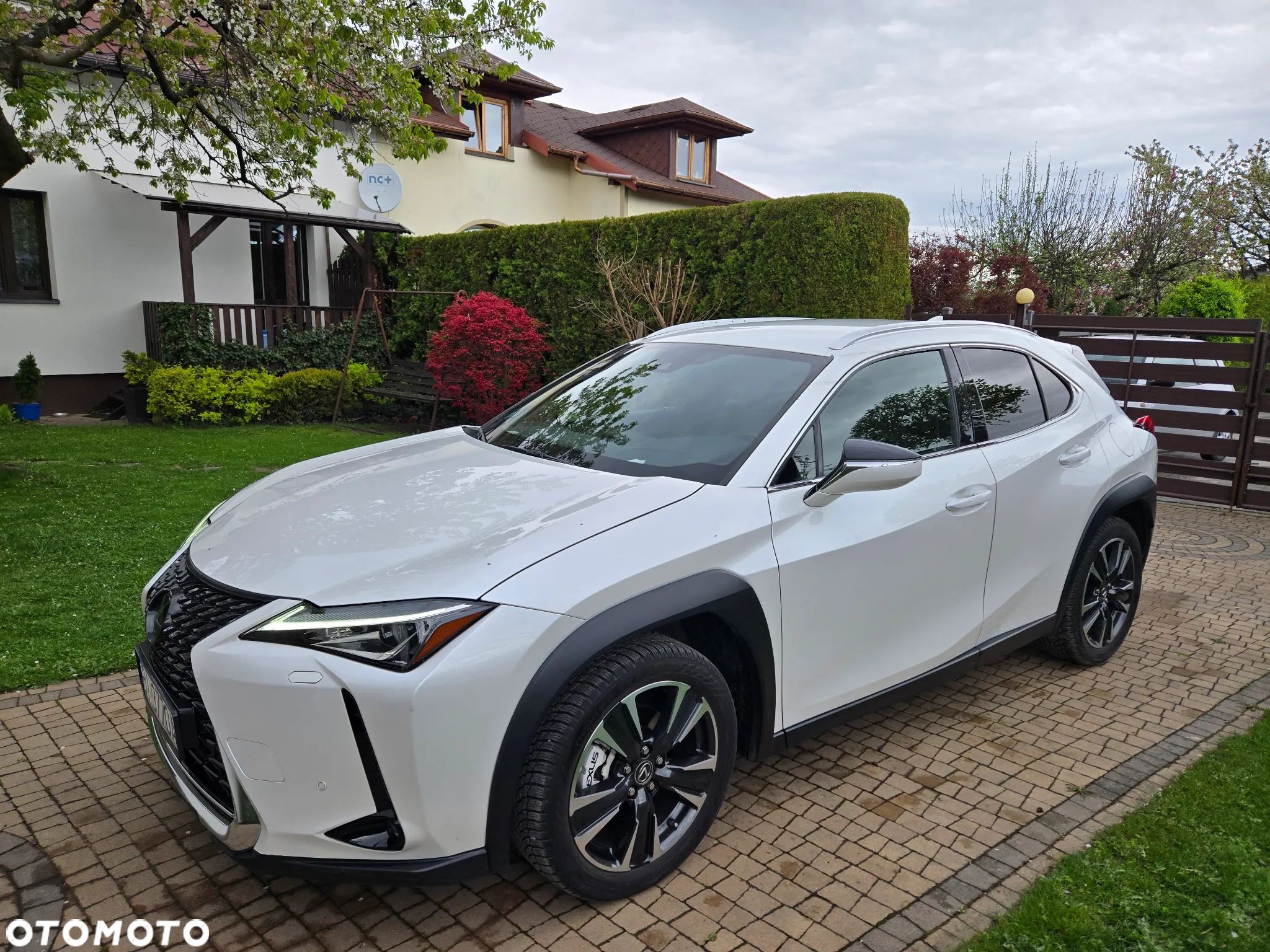 Lexus UX 200 Optimum 2WD - 1