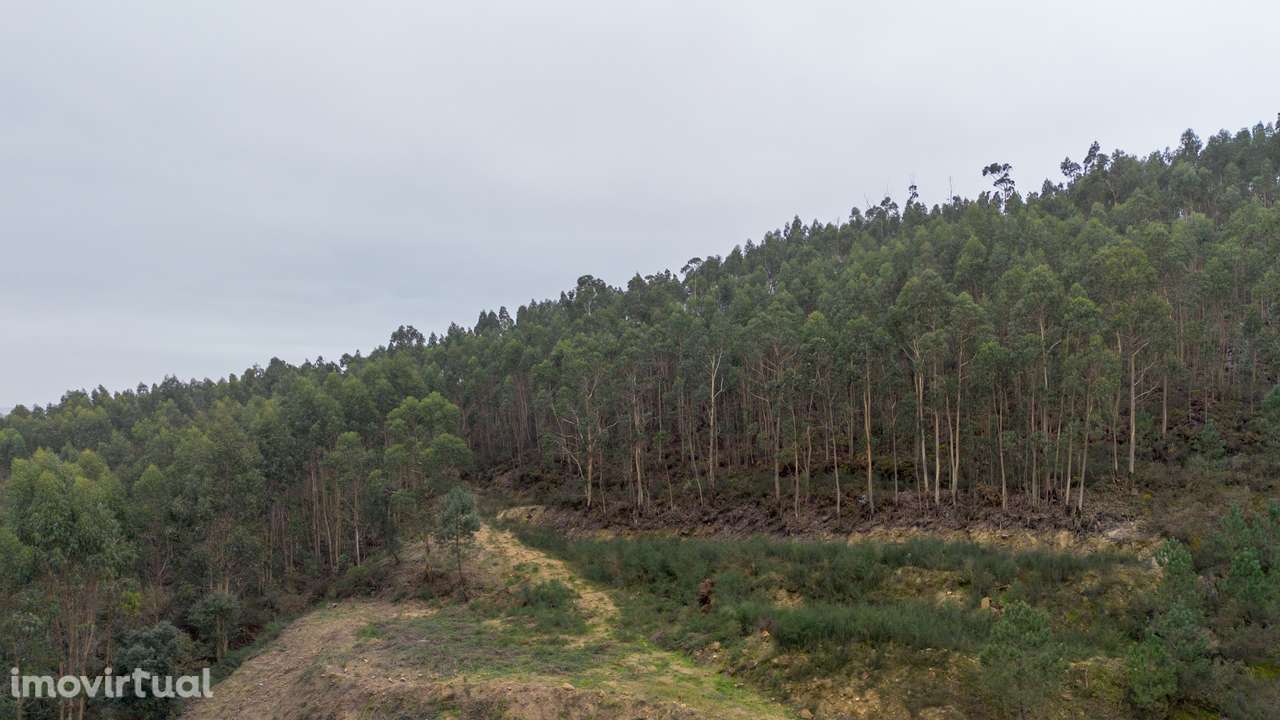 Terreno  Venda em Vandoma,Paredes - Grande imagem: 4/25